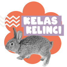KELAS KELINCI
